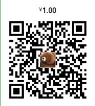 小飞机 WeChat Pay